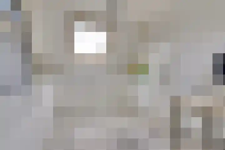 Klipper 70 Wijk bij Duurstede thumbnail 25