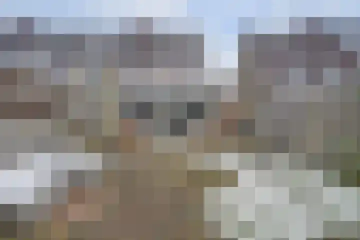 Klipper 70 Wijk bij Duurstede thumbnail 32