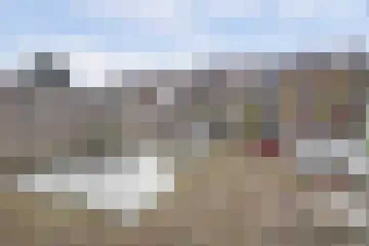 Klipper 70 Wijk bij Duurstede thumbnail 36