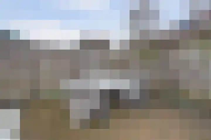 Klipper 70 Wijk bij Duurstede thumbnail 37