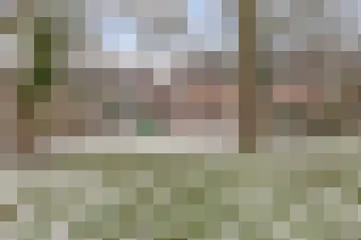 Klipper 70 Wijk bij Duurstede thumbnail 42