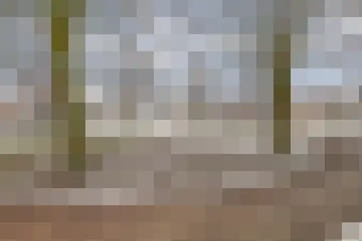Klipper 70 Wijk bij Duurstede thumbnail 44