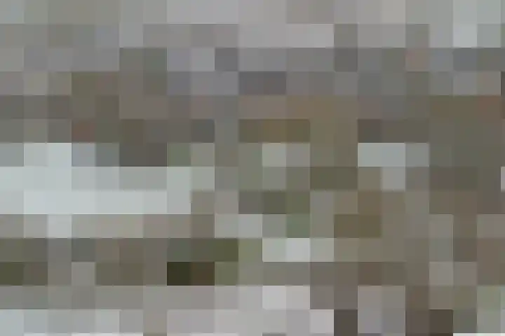 Klipper 70 Wijk bij Duurstede thumbnail 45