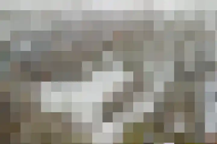 Klipper 70 Wijk bij Duurstede thumbnail 46