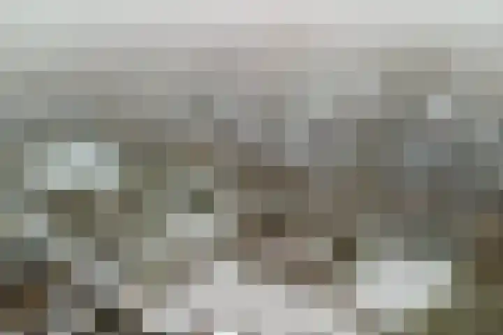 Klipper 70 Wijk bij Duurstede thumbnail 47