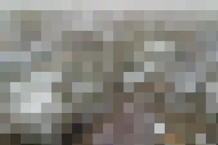 Klipper 70 Wijk bij Duurstede thumbnail 49
