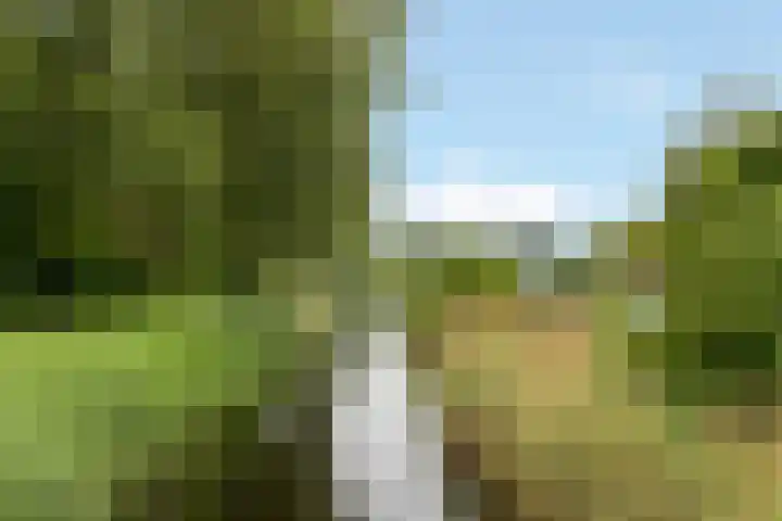 Klipper 75 Zeewolde thumbnail 47