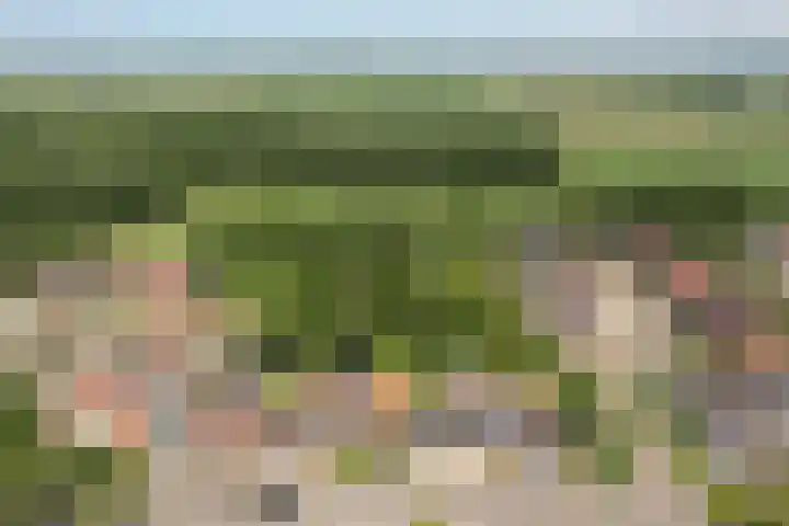 Klipper 77 Franeker thumbnail 4