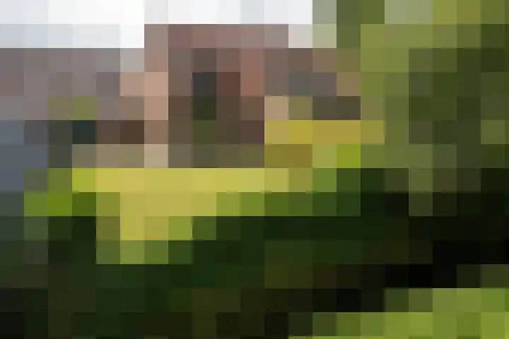 Klipper 77 Franeker thumbnail 6