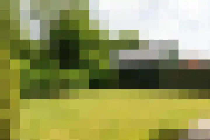 Klipper 77 Franeker thumbnail 7