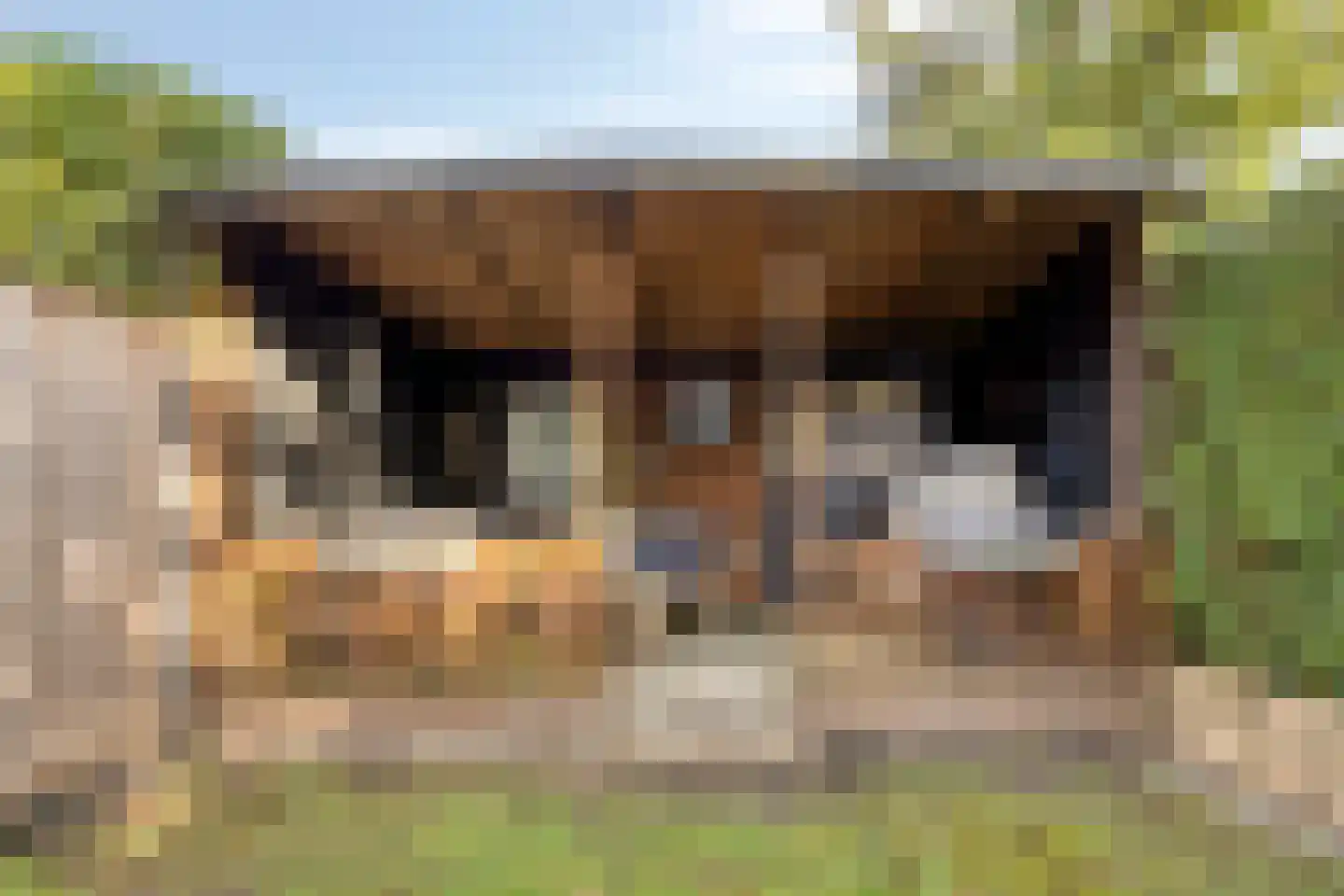 Klipper 79 Oud-Beijerland thumbnail 31