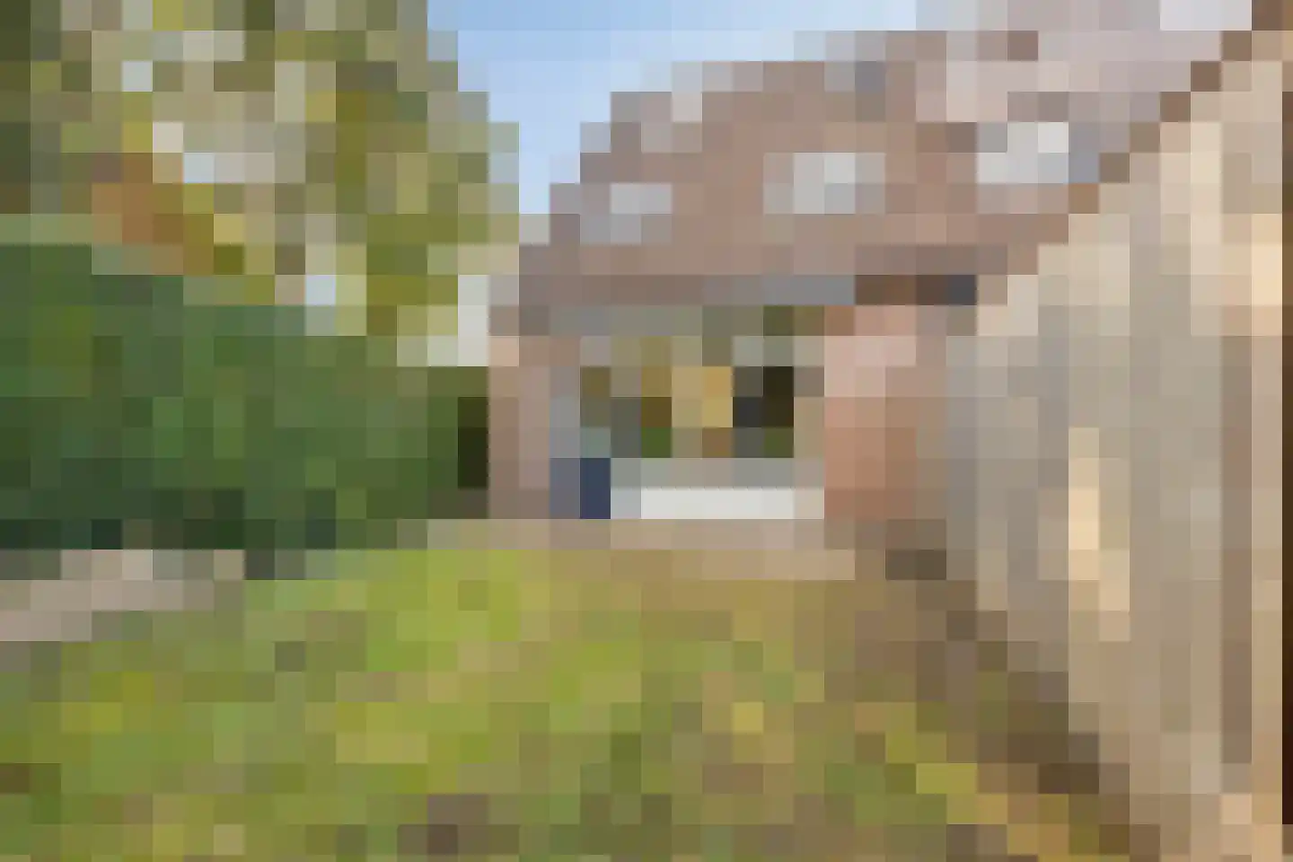 Klipper 79 Oud-Beijerland thumbnail 33