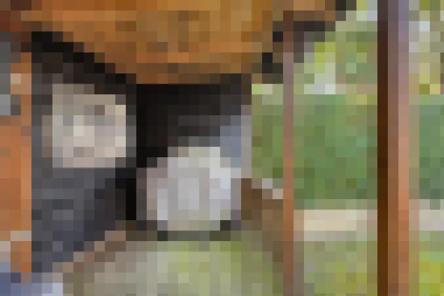 Klipper 79 Oud-Beijerland thumbnail 36