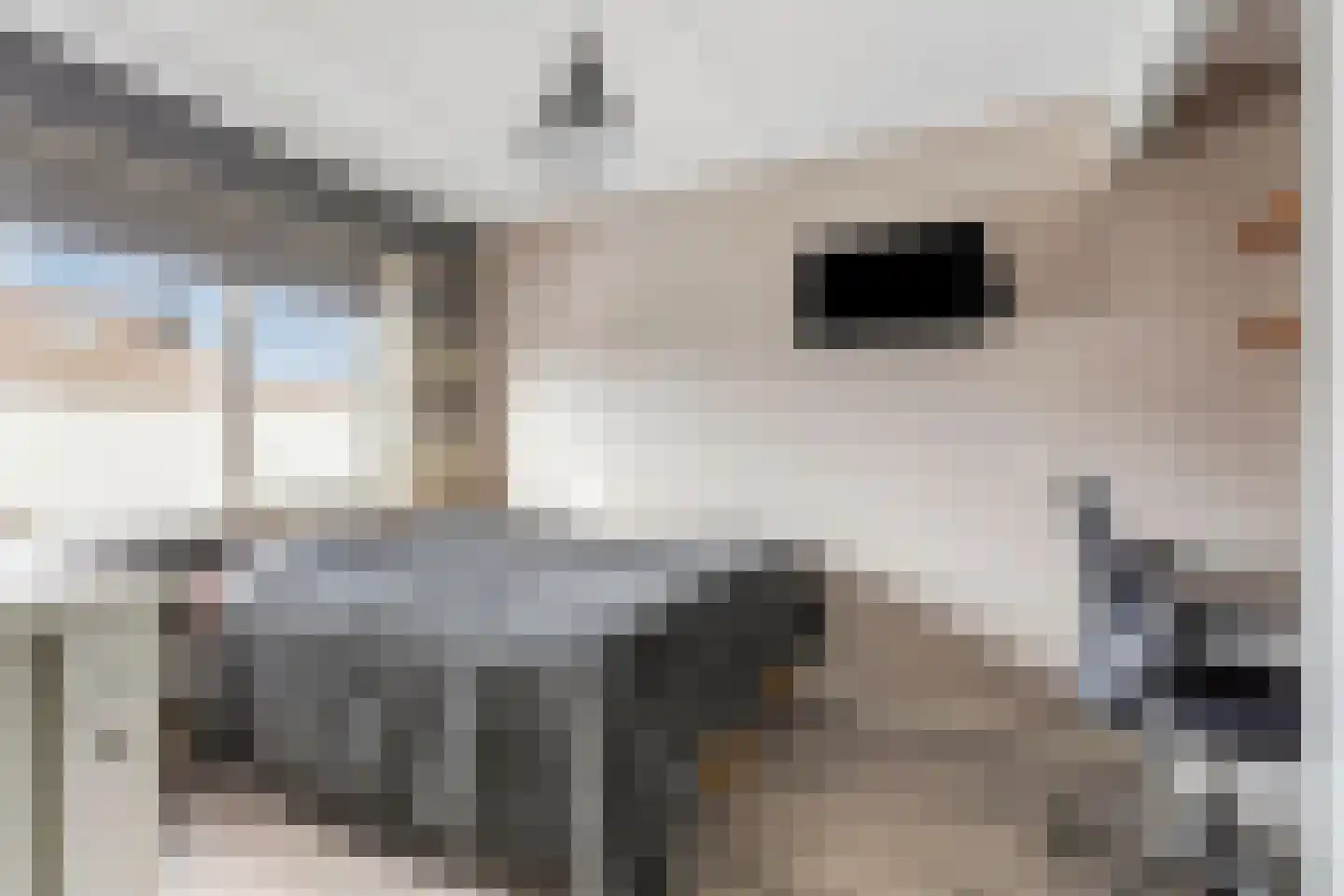 Klipper 8 Obdam thumbnail 38