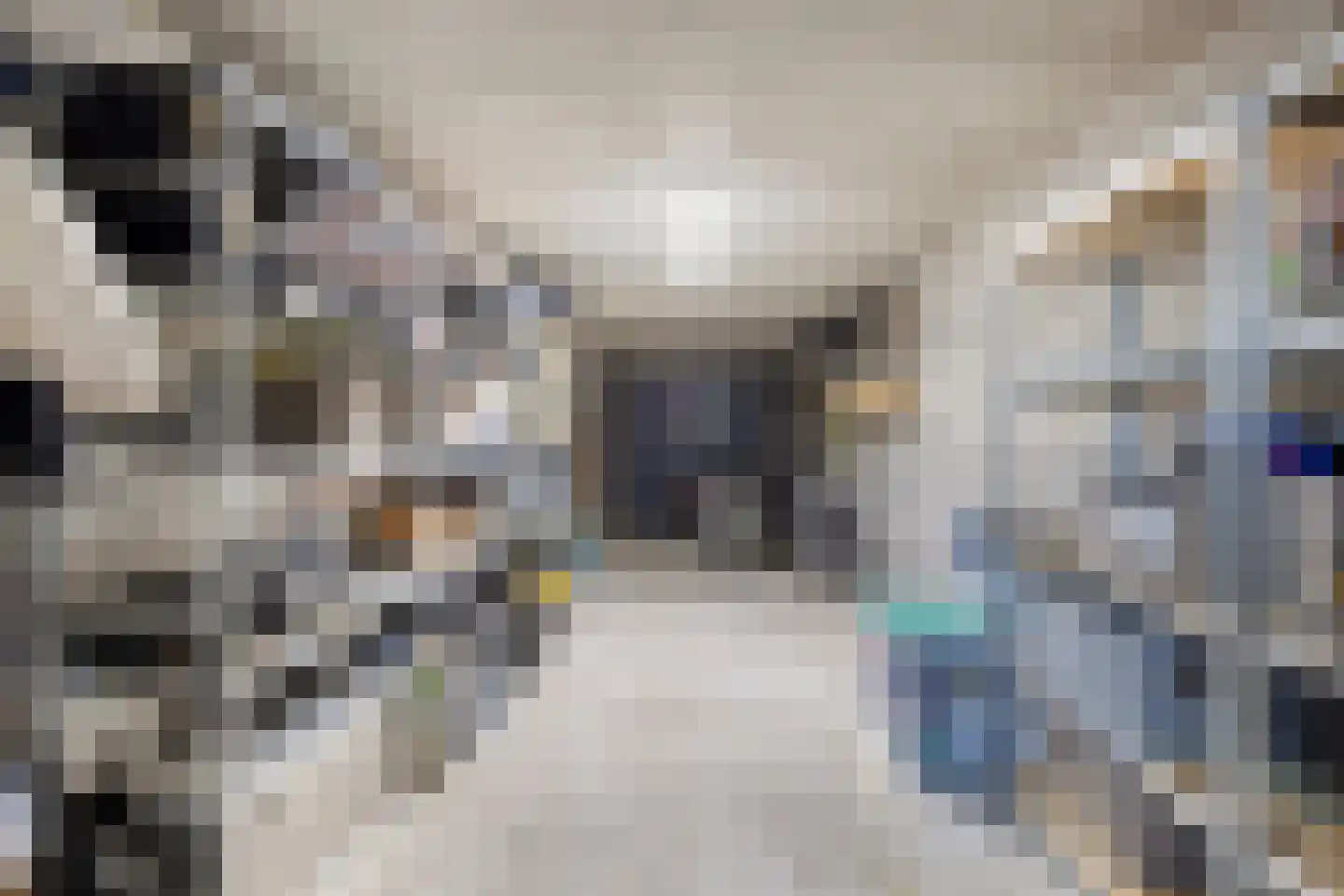 Klipper 8 Obdam thumbnail 47