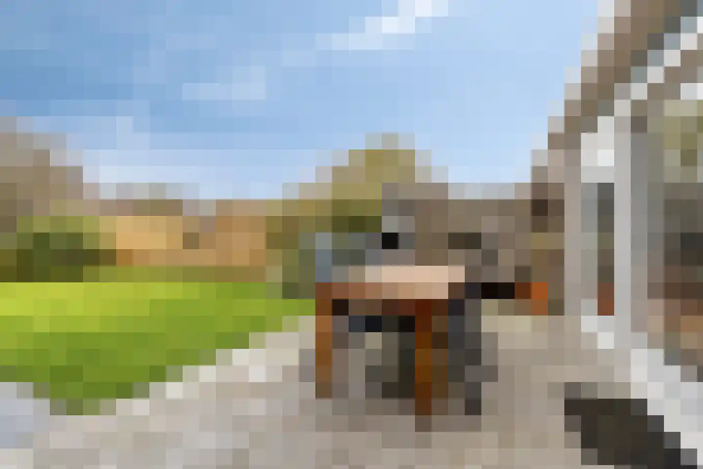 Klipper 8 Obdam thumbnail 50