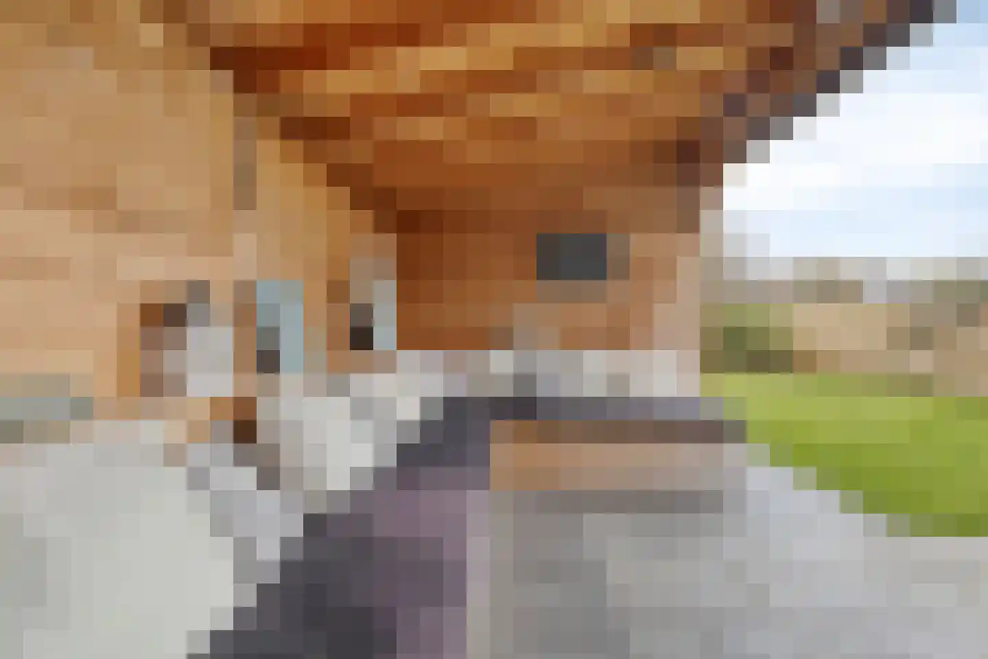 Klipper 8 Obdam thumbnail 54