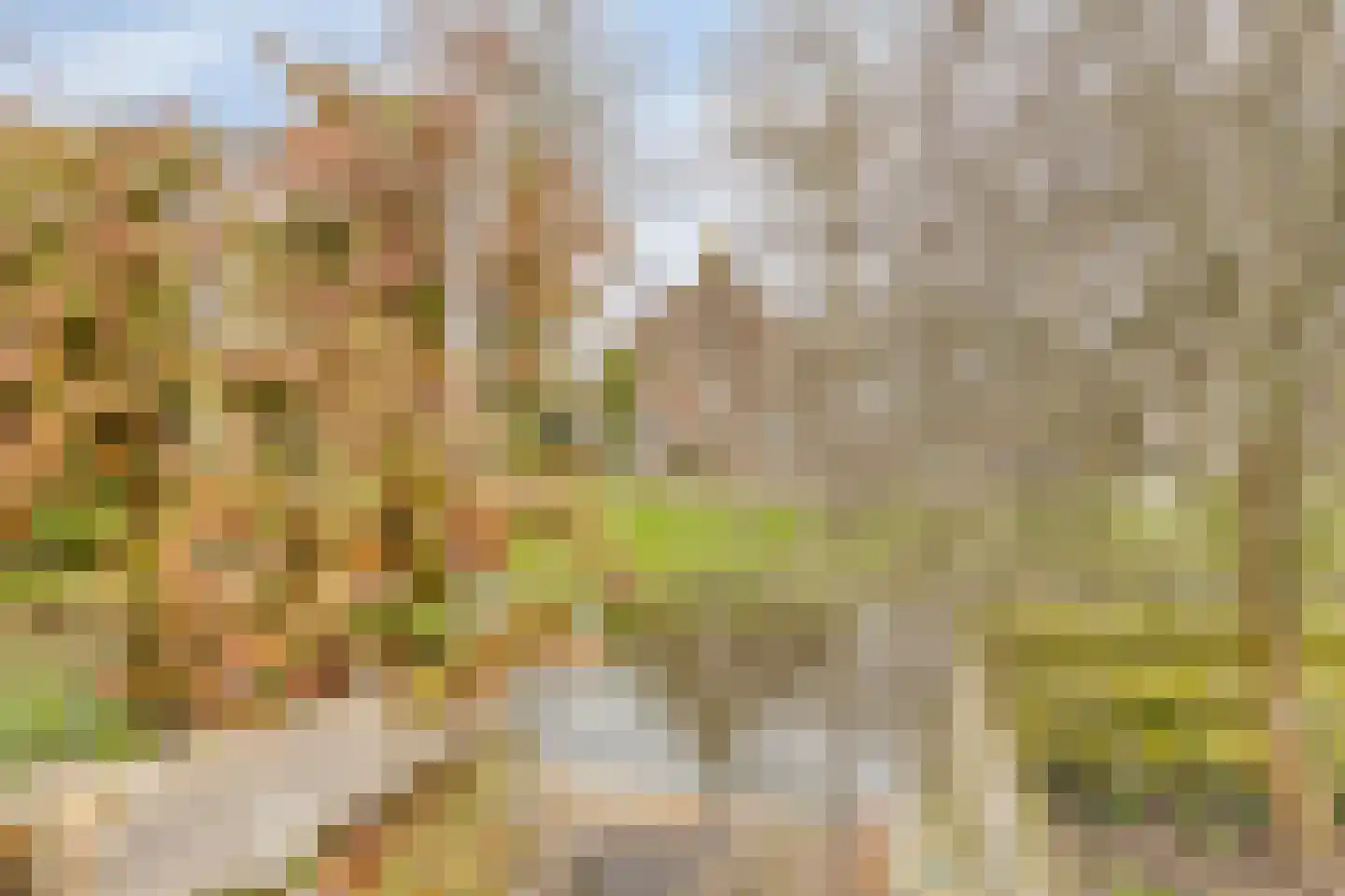 Klipper 8 Obdam thumbnail 62