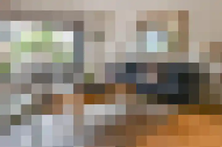 Klipper 83 Velserbroek thumbnail 14