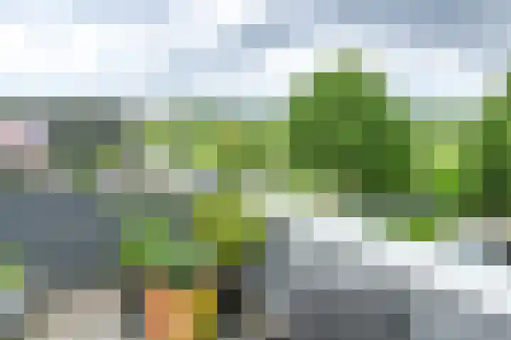 Klipper 83 Velserbroek thumbnail 4