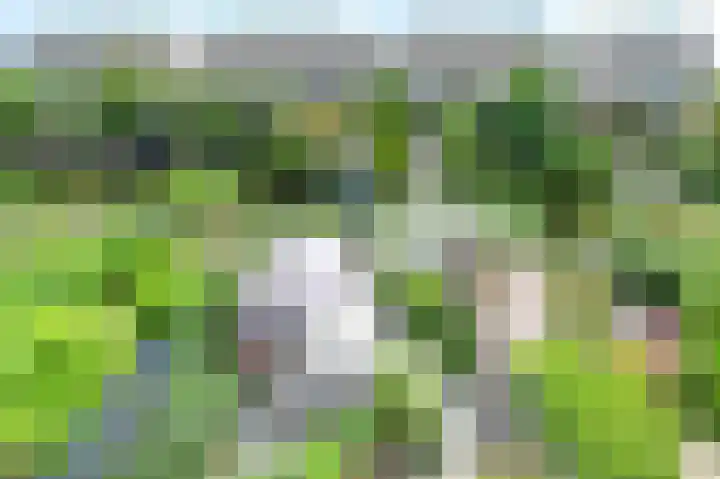 Klipper 83 Velserbroek thumbnail 41