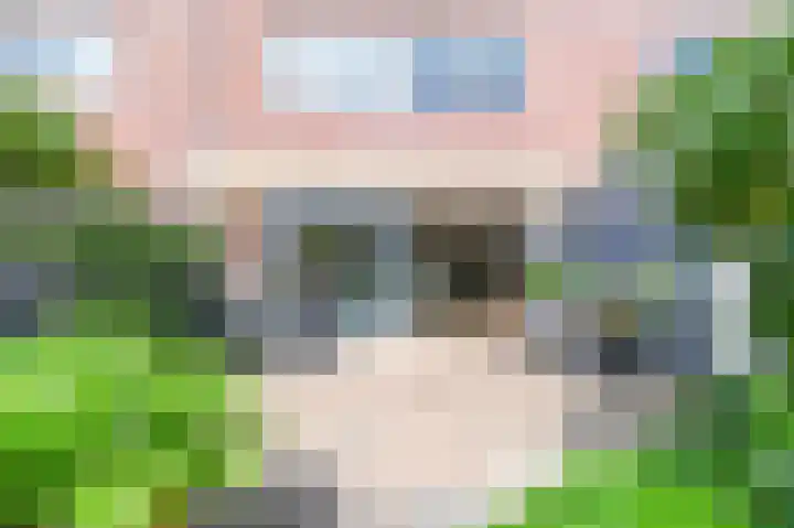 Klipper 83 Velserbroek thumbnail 44