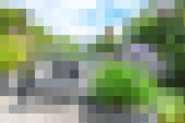 Klipper 83 Velserbroek thumbnail 47