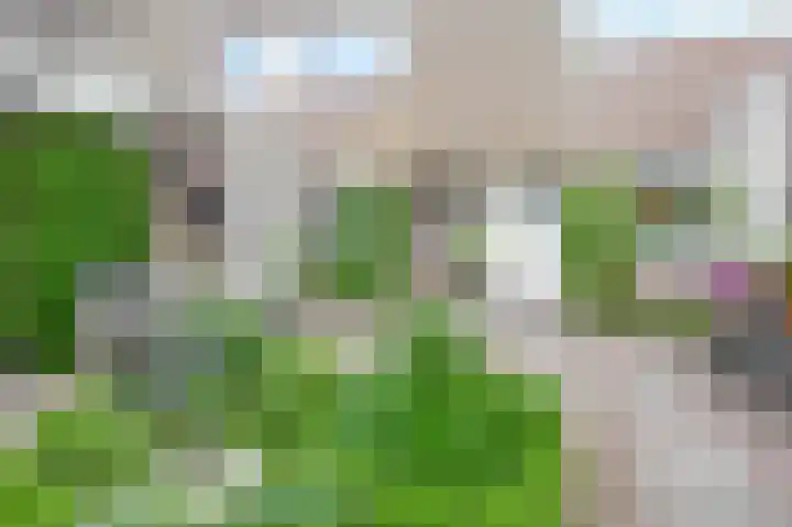 Klipper 83 Velserbroek thumbnail 50