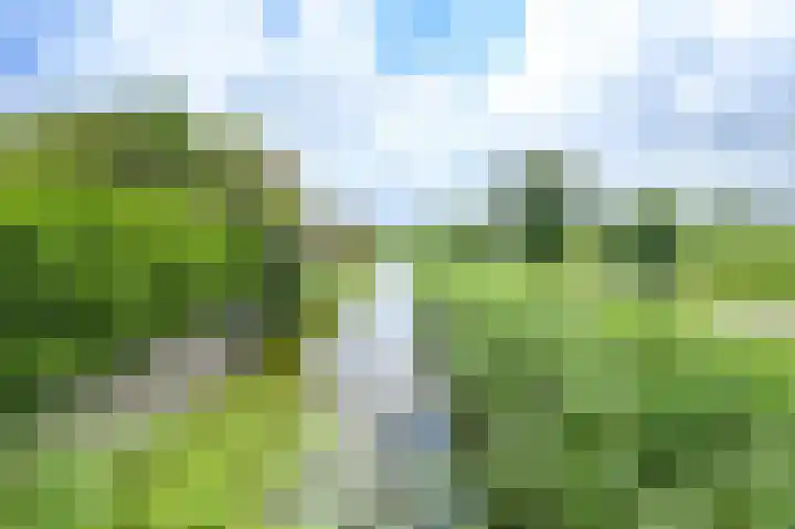 Klipper 83 Velserbroek thumbnail 54