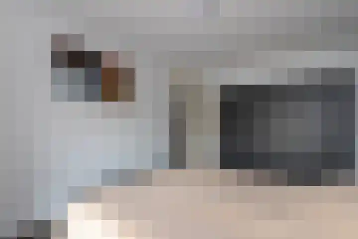 Klipperaak 1 Papendrecht thumbnail 10