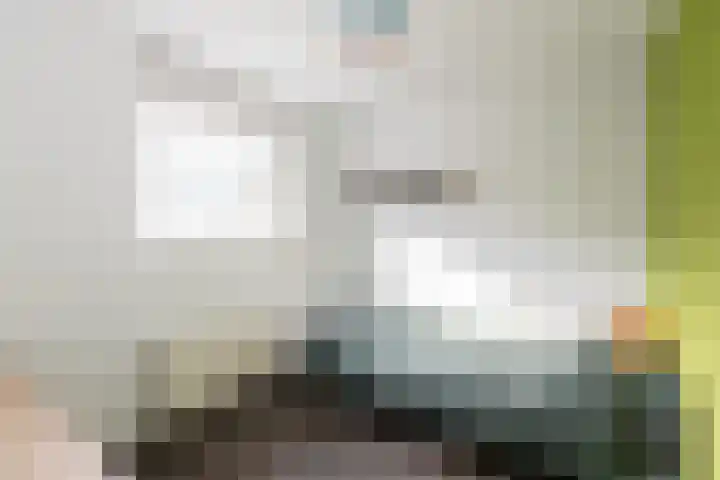 Klipperaak 1 Papendrecht thumbnail 11