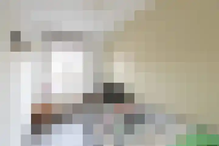 Klipperaak 1 Papendrecht thumbnail 12