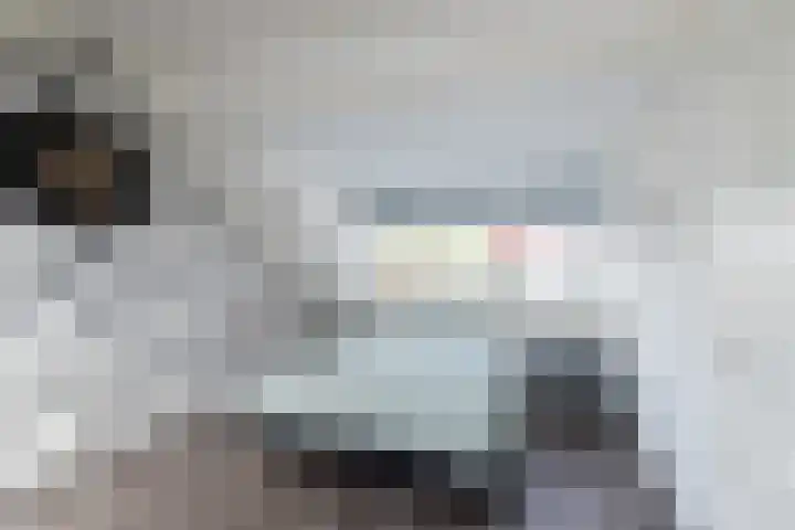 Klipperaak 1 Papendrecht thumbnail 15
