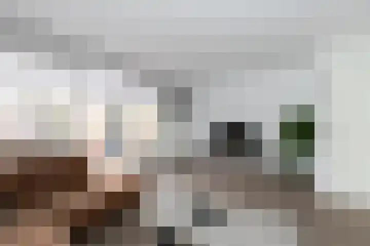 Klipperaak 1 Papendrecht foto 2