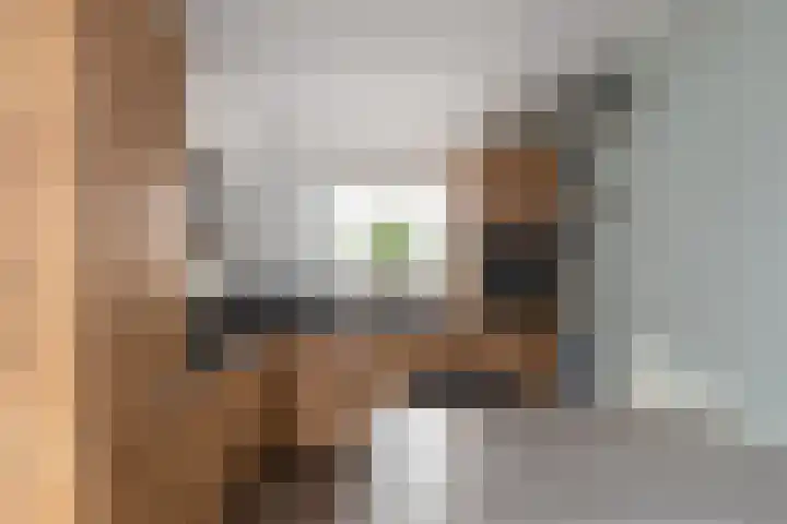 Klipperaak 1 Papendrecht foto 3
