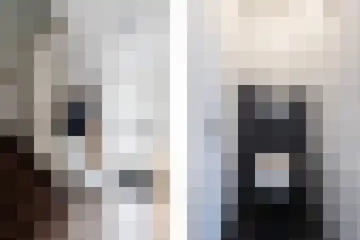 Klipperaak 1 Papendrecht thumbnail 5