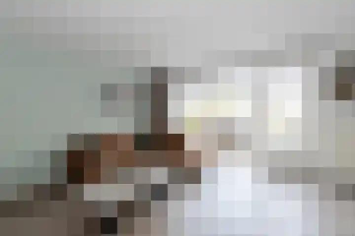 Klipperaak 1 Papendrecht thumbnail 6
