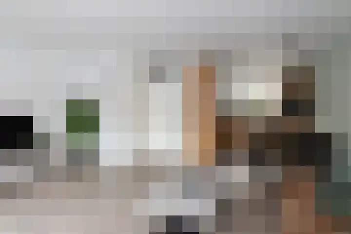 Klipperaak 1 Papendrecht thumbnail 8