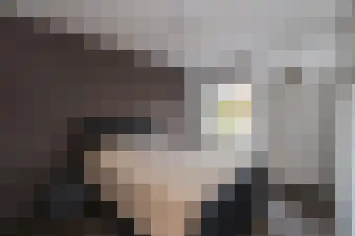 Klipperaak 1 Papendrecht thumbnail 9