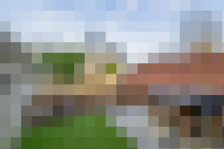 Klipperdijk 2 Lisse thumbnail 27