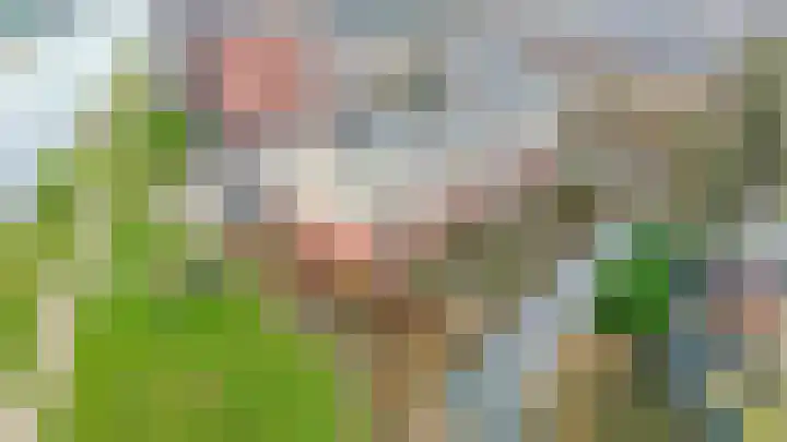 Klipperdijk 2 Lisse thumbnail 32