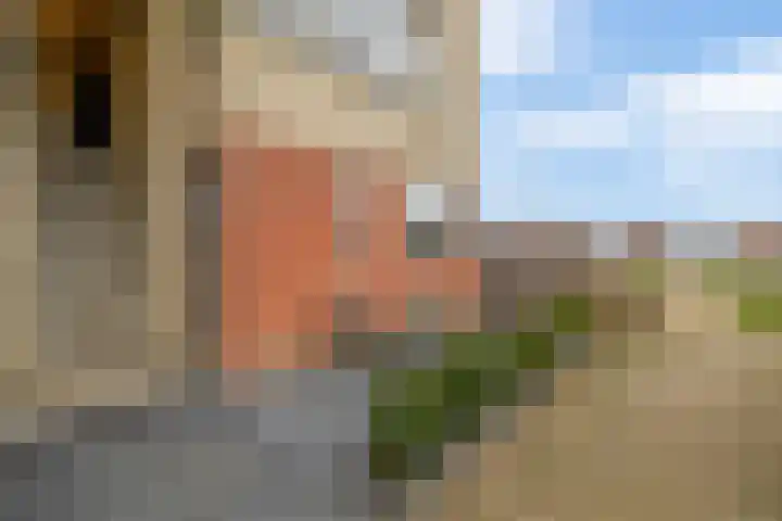 Klipperdijk 2 Lisse thumbnail 4