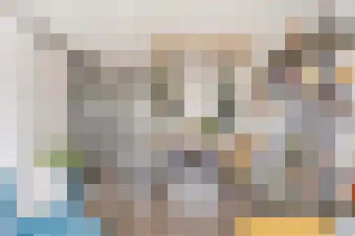 Klipperdijk 60 Lisse thumbnail 14