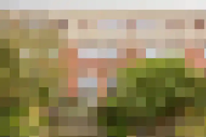 Klipperdijk 60 Lisse thumbnail 30