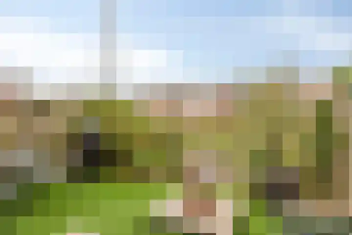 Klipperdijk 60 Lisse thumbnail 32