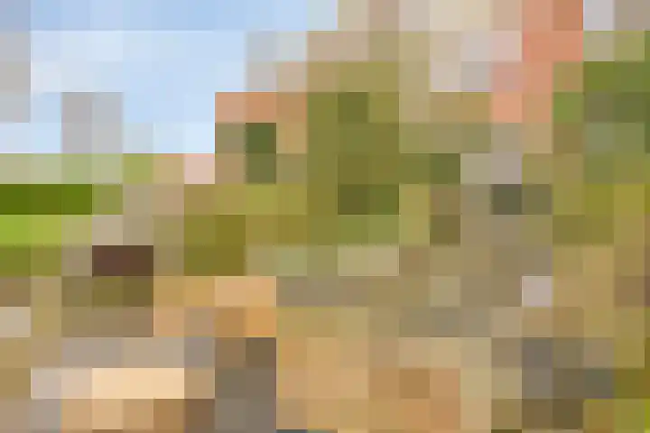 Klipperdijk 60 Lisse thumbnail 33