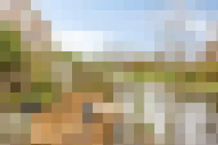 Klipperdijk 60 Lisse thumbnail 34