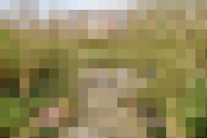 Klipperdijk 60 Lisse thumbnail 35