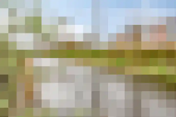 Klipperdijk 60 Lisse thumbnail 36