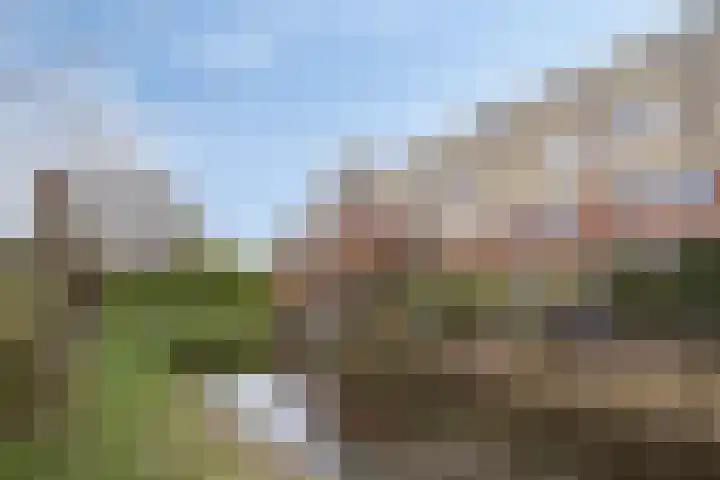 Klipperdijk 60 Lisse thumbnail 38